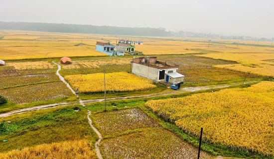 पानी पर्दा मर्कामा किसान