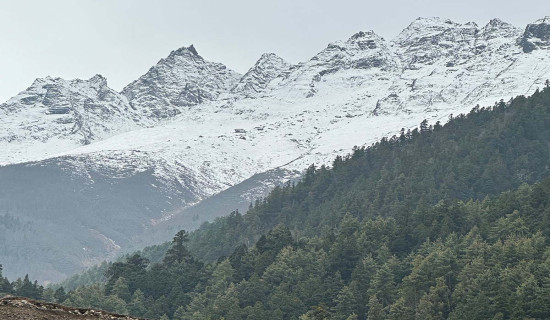 गठबन्धन देशको आवश्यकता हो : वरिष्ठ नेता पौडेल
