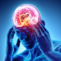 आयोजना बैङ्कलाई लागू गर्न सबैको सहयोग आवश्यक छ : मुख्यमन्त्री पाण्डे