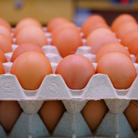 धान बिक्री गर्ने किसानलाई चेकमार्फत् भुक्तानी