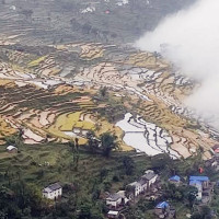 नेपाल रेल सेवा यात्रु भरिएलगतै सञ्चालन गरिने