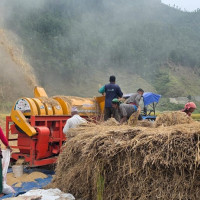 होलीमय मिथिला