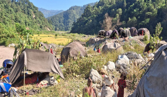 घट्दो क्रममा राउटेको जनसङ्ख्या