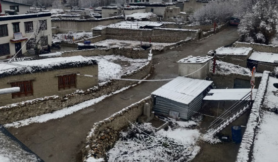 उच्च हिमाली क्षेत्रमा लगातार हिमपात