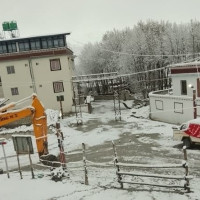 गुल्मीमा वर्षाले २२ सय मेट्रिक टन धान उत्पादन घट्ने