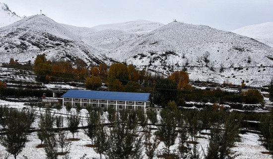 हिमपात कृषकका लागि वरदान