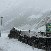 एसइईपछि आइटी