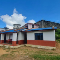 नीलगिरि हिमाल र जहाज