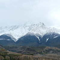 औषधीय गुण भएको महुवा सङ्कलन