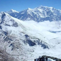 एनपिएल क्रिकेट : कोशेढुङ्गा बन्ने अपेक्षा