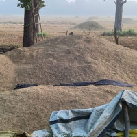 ७० हजारभन्दा बढी पर्यटकले चढे केबलकार