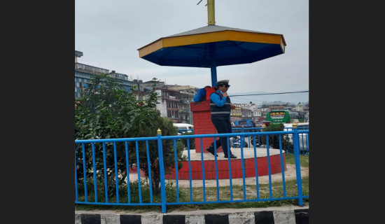 ट्राफिक आइल्याण्डको पुनः निर्माण