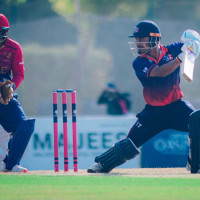 नेपाल महोत्सव भब्य बनाउने होवार्टको तयारी