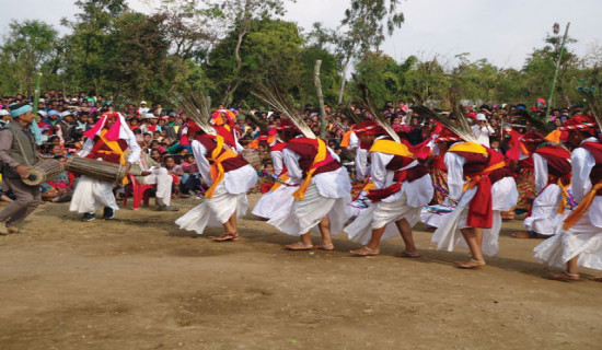सङ्कटमा बर्कानाच