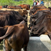 भ्रष्टाचार गरेको भेटिए आफ्नै बुवालाई पनि खोरमा थुन्न तयार छु : प्रधानमन्त्री