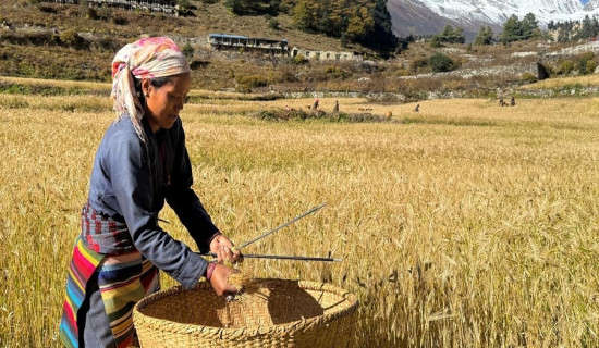 नवौं राष्ट्रिय खेलकुदको समापन समारोह