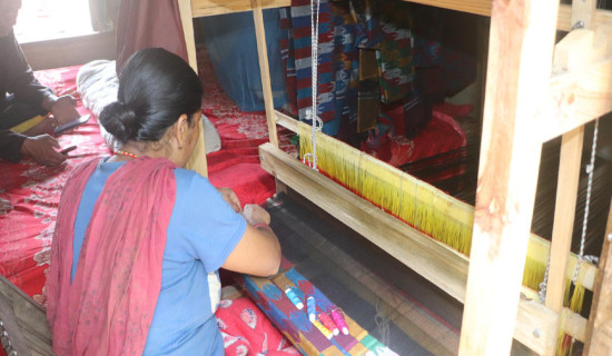 गृहिणीबाट उद्यमीः सीपले जीवन बदल्दै भोजपुरका महिला