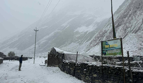 भीरबाट खसेकाे ढुङ्गा लागेर मनास्लु पुगेका पर्यटक घाइते