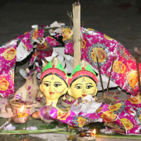 सामाजिक समस्या बन्दै कुकुरको टोकाइ