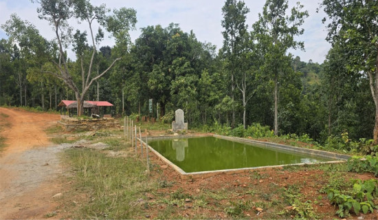 लुदीदामगाडे सामुदायिक वनमा रिचार्ज पोखरी