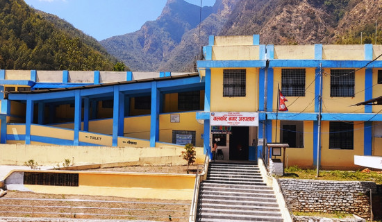 पहिले दुर्व्यसनीको अखडा, अहिले बन्यो ड्रागन फ्रुटको बगैँचा