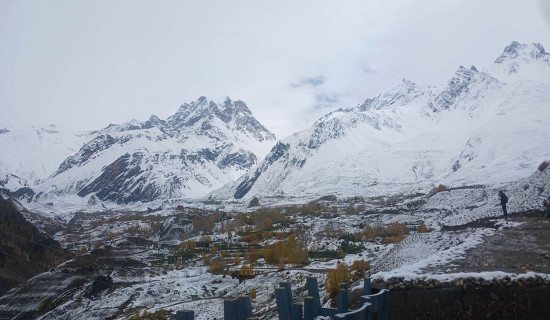 बलात्कारको आरोपमा वडा अध्यक्ष पक्राउ