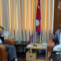 सुरु भयो दलको लेखा परीक्षण