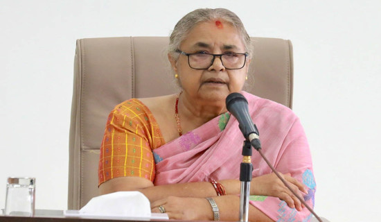 विश्वविद्यालयका सभामा भाषिक त्रुटि