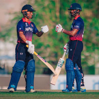 बिरानो बन्दै नेपाली भाषा