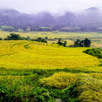 नेपाल आउँदा खुसी छु : बुफोन