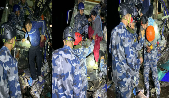 चितवनमा यात्रुवाहक बस र ट्रक ठोक्किँदा ३३ जना घाइते