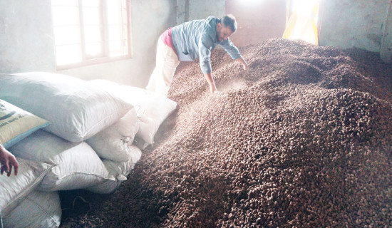 एक वर्षमा रोजगारीका लागि विदेसिनेको सङ्ख्या सात लाखभन्दा बढी