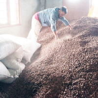 राष्ट्रपति रनिङ सिल्डको दोस्रो दिन चार कीर्तिमान