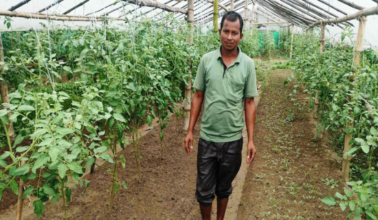 यसरी हेर्न सकिन्छ कक्षा १२ को नतिजा