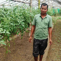 सागसब्जीका बेर्ना बेचेर वार्षिक २६लाख आम्दानी