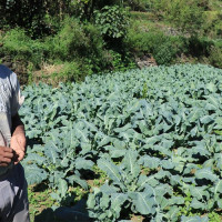 वैदेशिक रोजगारी महिलाको सङ्ख्या वृद्धि