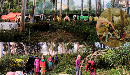 प्रशासनबाट सरेका आरक्षपीडितको माग : सरकारले सिघ्र पुनर्स्थापना गर्नुपर्छ