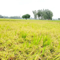 रोजगारी सुनिश्चित गर्न माग गर्दै मुख्यमन्त्रीलाई ज्ञापनपत्र