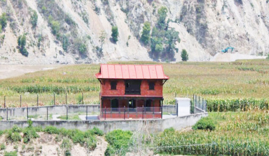 ऐतिहासिक पाटीपौवा बेवारिसे बन्दै