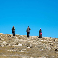 आगामी सातादेखि चाडपर्वलक्षित अनुगमन, थोक र आपूर्ति कम्पनी प्राथमिकतामा