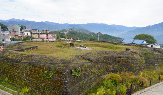 आगामी सातादेखि चाडपर्वलक्षित अनुगमन, थोक र आपूर्ति कम्पनी प्राथमिकतामा