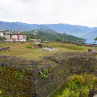 अमेरिकी डलर भाउ उकालो