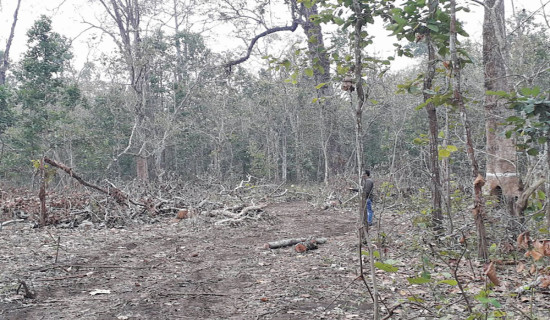 रुस युद्धविरामको पक्षमा छ : राष्ट्रपति पुटिन