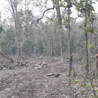 भारतद्वारा प्रदान गरिएको राहत सामग्री नेपालगन्ज पुग्यो