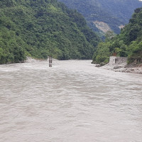 कलाकारको दसैँ