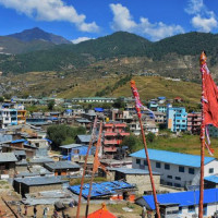 यस्तो छ आजका लागि सागसब्जी र फलफूलको थोक मूल्य