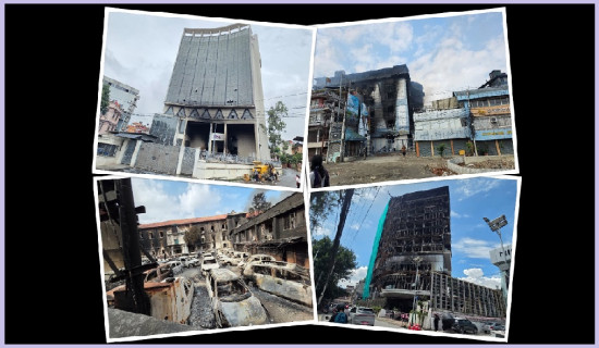 ‘जेनजी’ प्रदर्शन : क्षति मूल्याङ्कन गर्न ४४ जिल्लामा ३८ टोली परिचालन