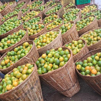 निर्माण उद्योगलाई समृद्ध बनाउन निर्माण व्यवसायी ऐन कार्यान्वयन गर्न आवश्यक : सभापति देउवा