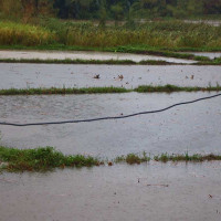 प्रेमका फरक फरक अनुहार