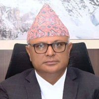 क्यान्सर रोगमा उपयोगी लौठसल्लाको संरक्षण